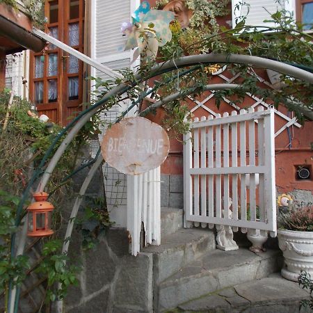 Il Granello Di Senape B&B Palazzo Canavese Exteriör bild